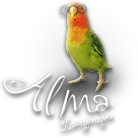 Alma Languages - Language Courses